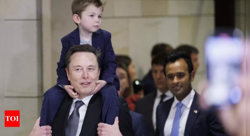 Elon Musk Vivek Ramaswamy: 'Target of H-1B visa psyop is to destroy Elon, Vivek's DOGE': Viral claim amid MAGA split