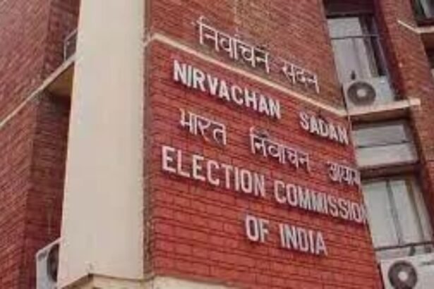 'Hiding in another country': FIR against 'EVM hacker' Syed Shuja after EC complaint | India News