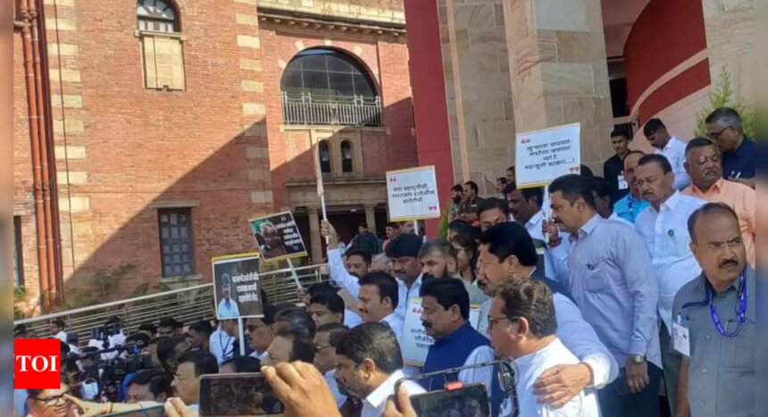 Maharashtra opposition leaders protest at Vidhan Bhavan over Parbhani custodial death, Beed sarpanch murder