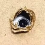 Man arrested for hiding phone to secretly film in women’s washroom at Delhi government hospital | India News