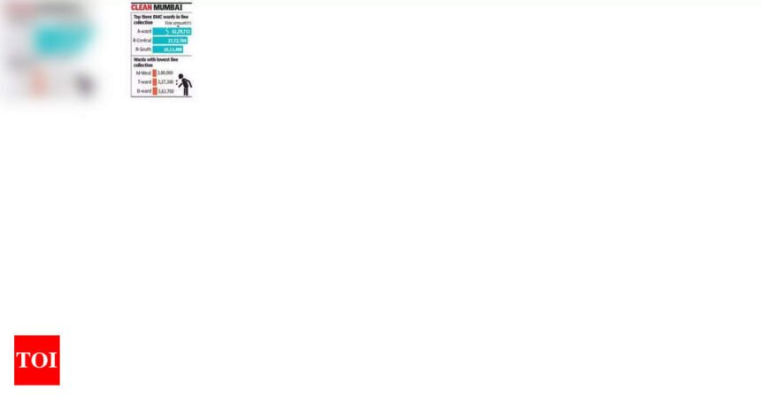 Mumbai's Clean-Up Marshals Collect ₹3.36 Crore in Fines Since April 2024 | Mumbai News