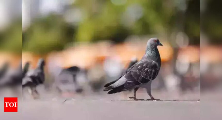 Thane socs to discuss pets, self-redevpt at 3-day conclave | Mumbai News